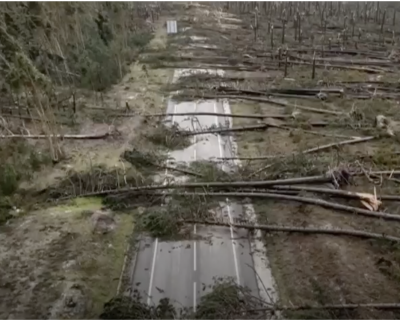 Tempestade Kristin. Nota de Consternação e Apelo